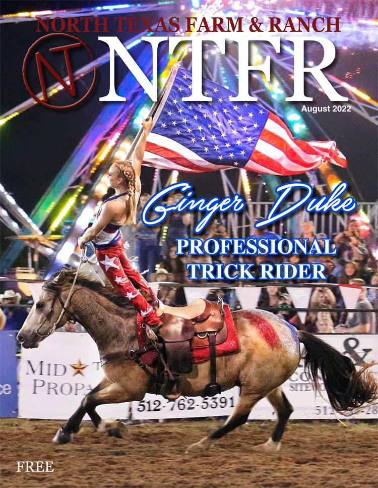 NTFR August 2022